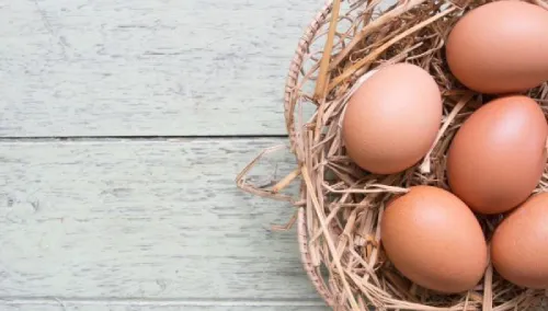 60 yumurta alana kampanya