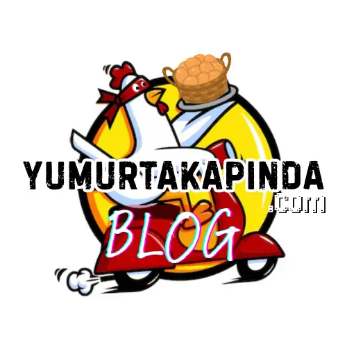 yumurta kapında blog logo